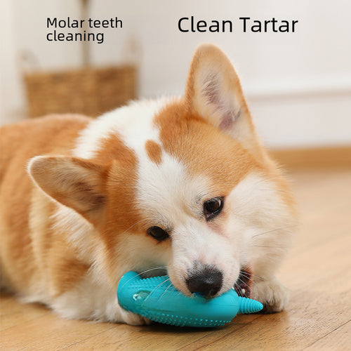 Jouet Brosse à Dents Mordant pour Chien — Hygiène Dentaire en s'Amusant